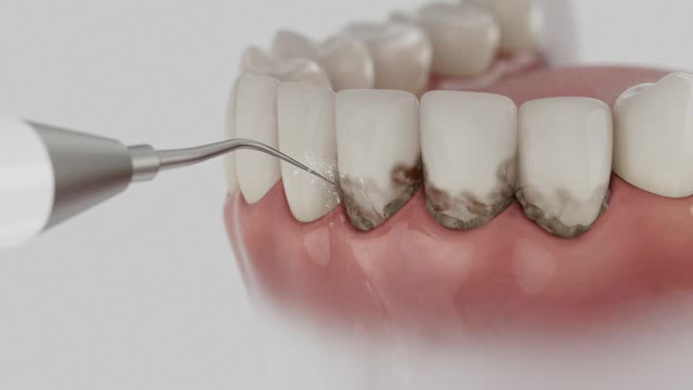 Reliable Dental contractor in Aberdeen, MS by Dentist Open Now